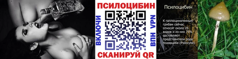 Псилоцибиновые грибы мухоморы Северо-Курильск